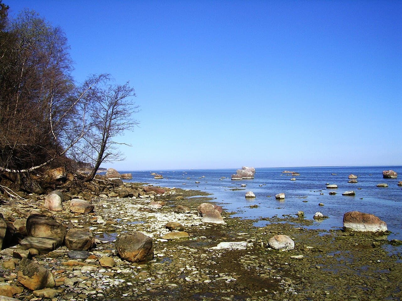 Haabersti